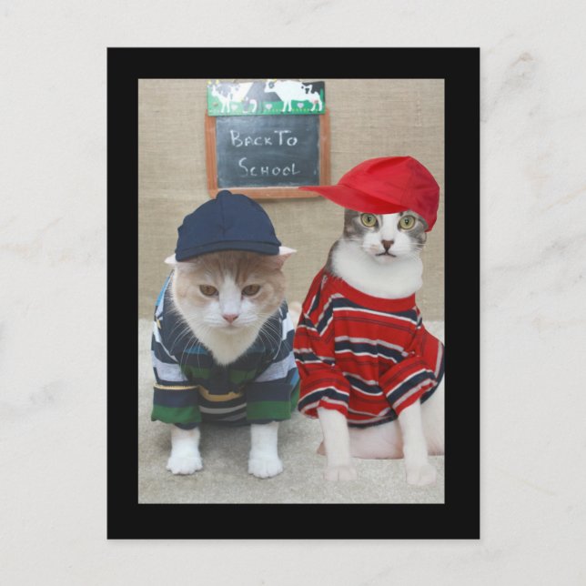 Cartão Postal De volta à escola (Frente)