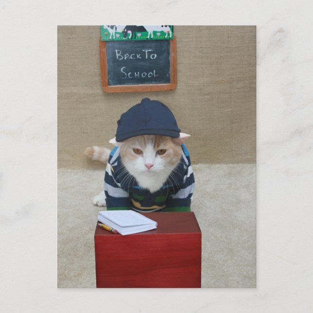 Cartão Postal De volta à escola Bubba (Frente)
