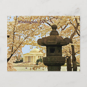 Cartão postal de Washington Cherry Blossoms
