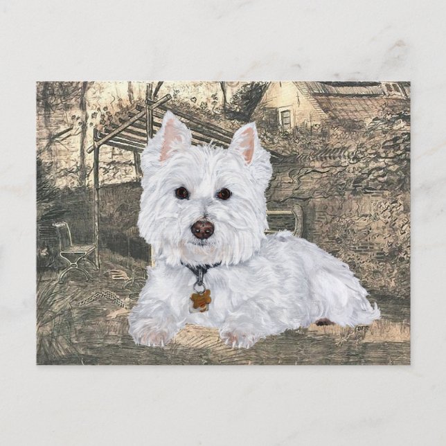 Cartão postal de Westie (Frente)