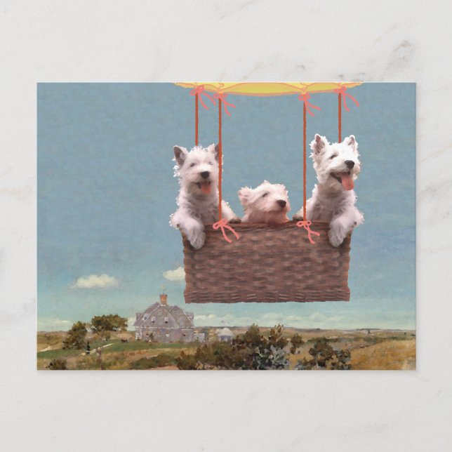 Cartão postal de Westie (Frente)