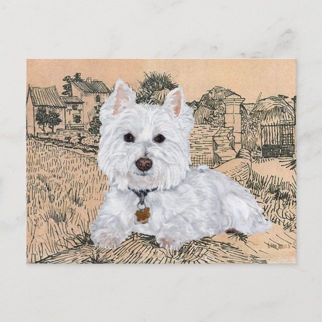 Cartão postal de Westie (Frente)