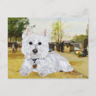 Cartão postal de Westie