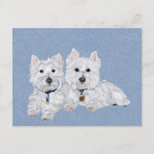 Cartão postal de Westies
