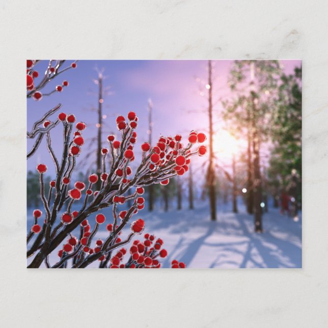 Cartão postal de Winterberry no Gelo (Frente)