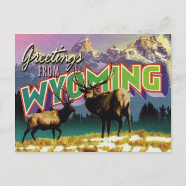 Cartão postal de Wyoming (Frente)