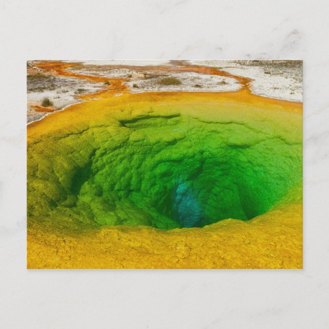 Cartão postal de Yellowstone - Morning Glory Pool (Frente)