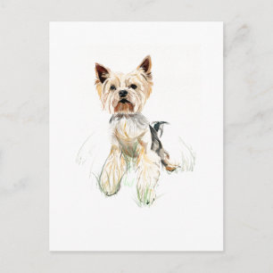 Cartão Postal de Yorkie – Yorkshire Terrier, Pai/M