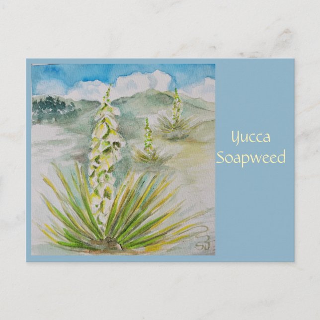 Cartão Postal de Yucca Soapweed (Frente)