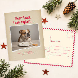 Cartão Postal Dear Santa I Can Explain Pet Dog Photo Christmas