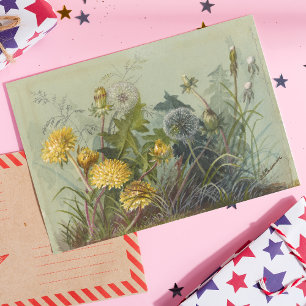 Cartão Postal Deborah Griscom Passmore Watercolor Album Pl.60