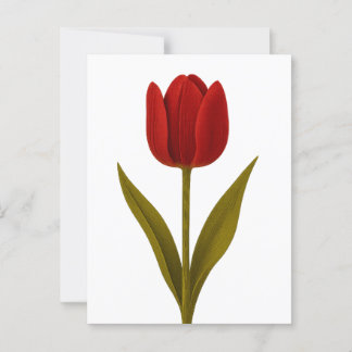 Cartão Postal Declaração de Amor