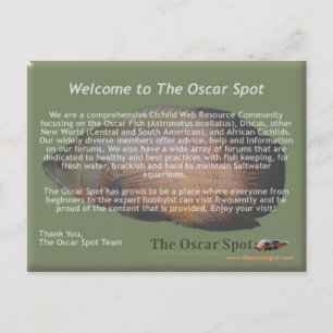 Cartão Postal Declaração de Missão