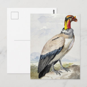 Cartão Postal Decoração de Parede Vibrante do Exótico Rei Abutre