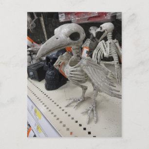 Cartão Postal Decoração do esqueleto das aves