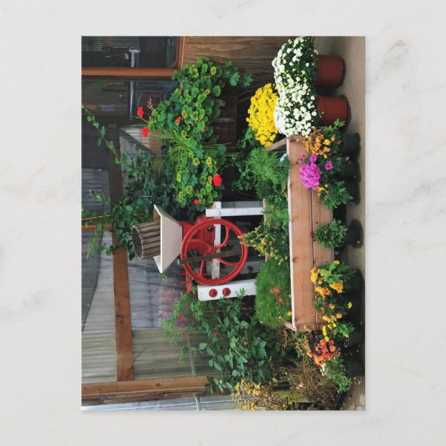 Cartão Postal Decoração do outono (Frente)