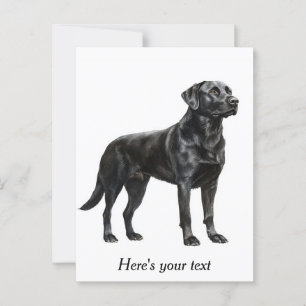 Cartão Postal Decoração Personalizada de Labrador Retriever Pret