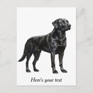 Cartão Postal Decoração Personalizada de Labrador Retriever Pret