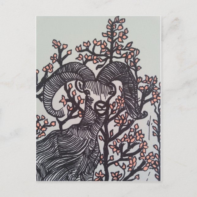 Cartão Postal Deer (Frente)