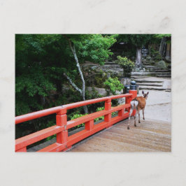Cartão Postal Deer atravessando a ponte japonesa