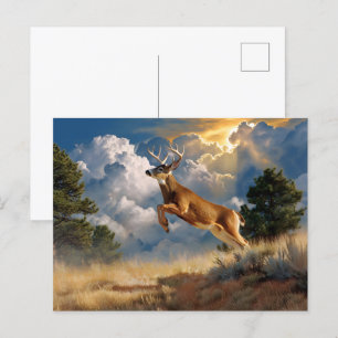 Cartão Postal Deer Buck Branco