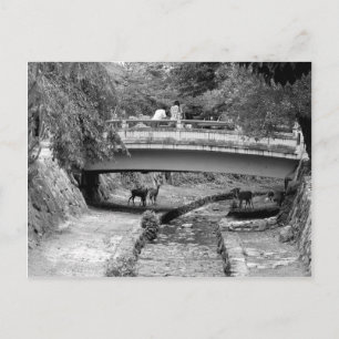 Cartão Postal Deer debaixo de uma ponte japonesa