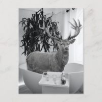 Deer em Bathtub Black White Bathroom art