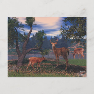 Cartão Postal Deer Gathering