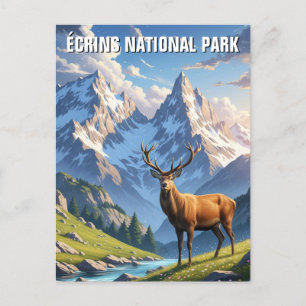 Cartão Postal Deer in Écrins National Park France Viagem