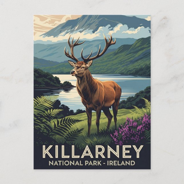Cartão Postal Deer in Killarney National Park Ireland Viagem (Frente)