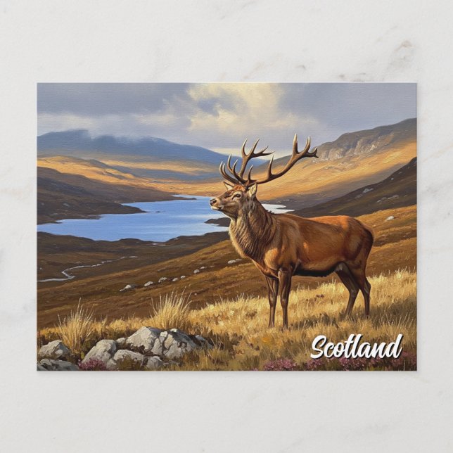 Cartão Postal Deer in Scotland Viagem (Frente)
