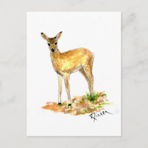 Cartão postal Deer Wildlife