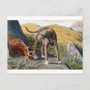 Cartão Postal Deerhound escocês