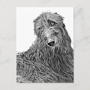 Cartão Postal Deerhound Noir et Blanc