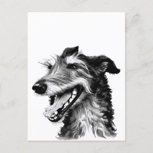 Cartão Postal Deerhound preto e branco Cachorro