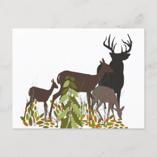 Cartão Postal Deers na Selvagem. Animais Florestais