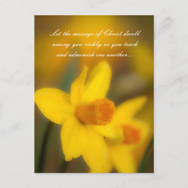 Cartão Postal Deixe a mensagem do Cristo se acalmar entre vocês (Frente)