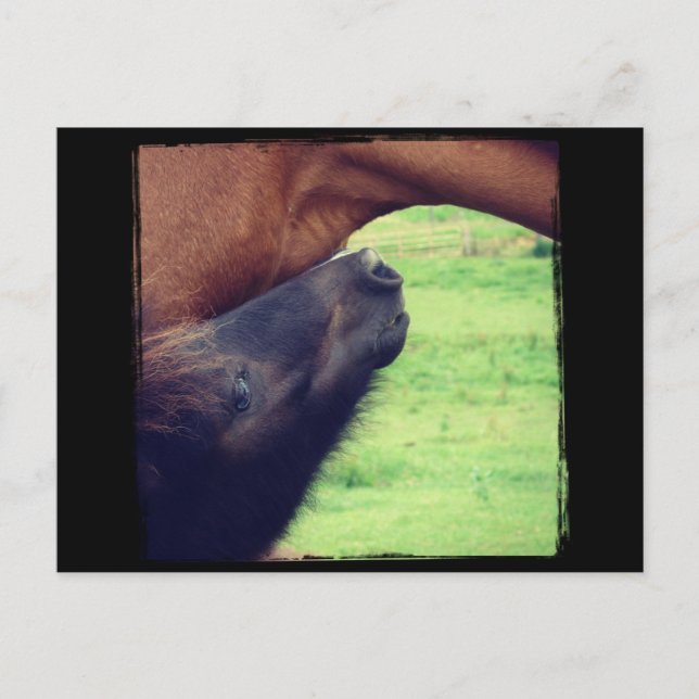 Cartão Postal Deixe-Me Te Dizer Um Segredo (Frente)