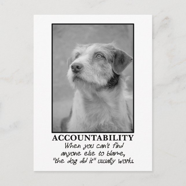 Cartão Postal Deixe o cão assumir a culpa por seus peidos (Frente)