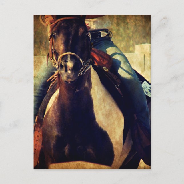 Cartão Postal Deixe Pinto Pony correr (Frente)