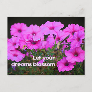 Cartão Postal Deixe seus sonhos florescerem