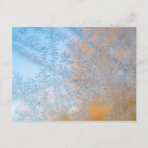 Cartão Postal Delicate Frost Standard, Wisconsin