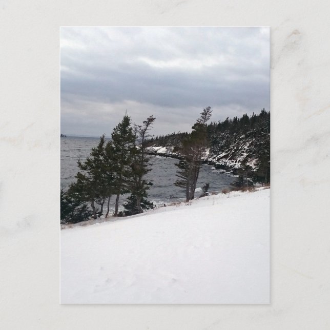 Cartão Postal Delícia do coração (Frente)