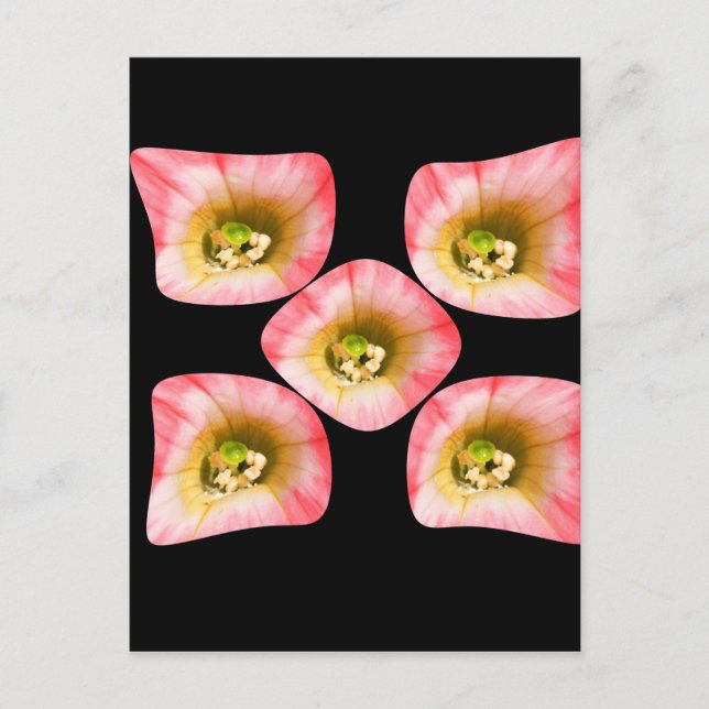 Cartão Postal Delícia Floral (Frente)