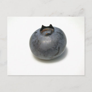 Cartão Postal Delicious Blueberry