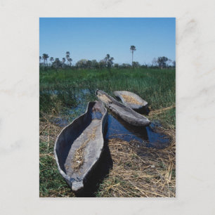 Cartão Postal Delta do Okavango, de Mokoro, Botsuana