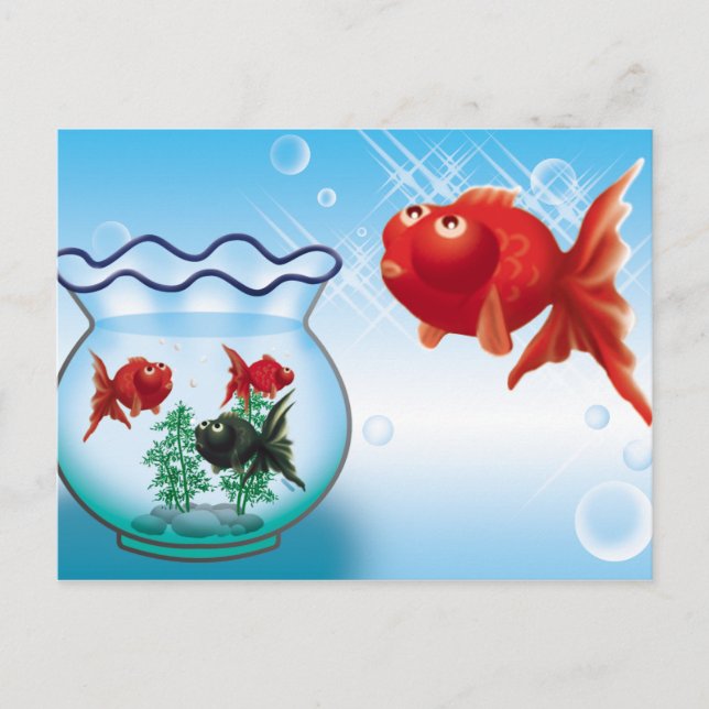 Cartão Postal Demekin - Telescope Goldfish- (Frente)