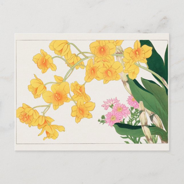 Cartão Postal Dendrobium, China aster por Tanigami Konan (Frente)