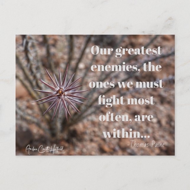 Cartão Postal Dentro (Frente)