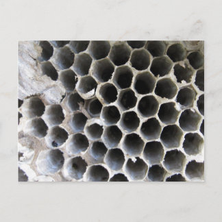Cartão Postal Dentro da Colmeia
